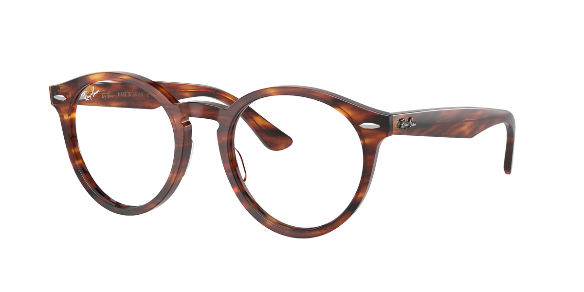 Ray-Ban Larry RX7680V Glasses frame