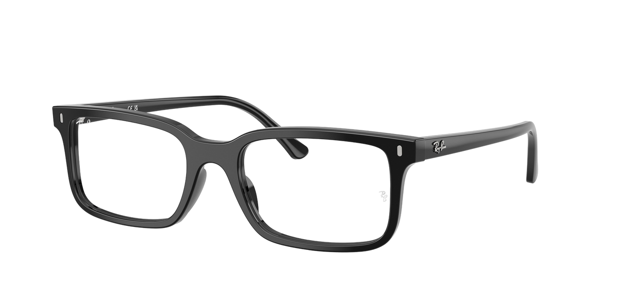 Ray-Ban RX5445 Glasses frame