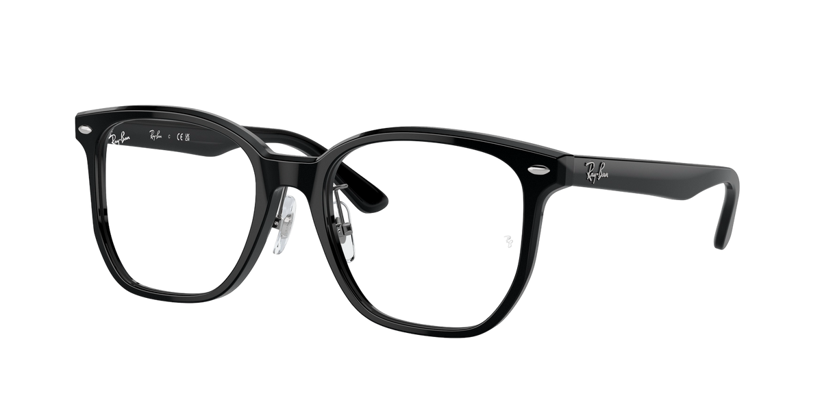 Ray-Ban RX5425D Glasses frame