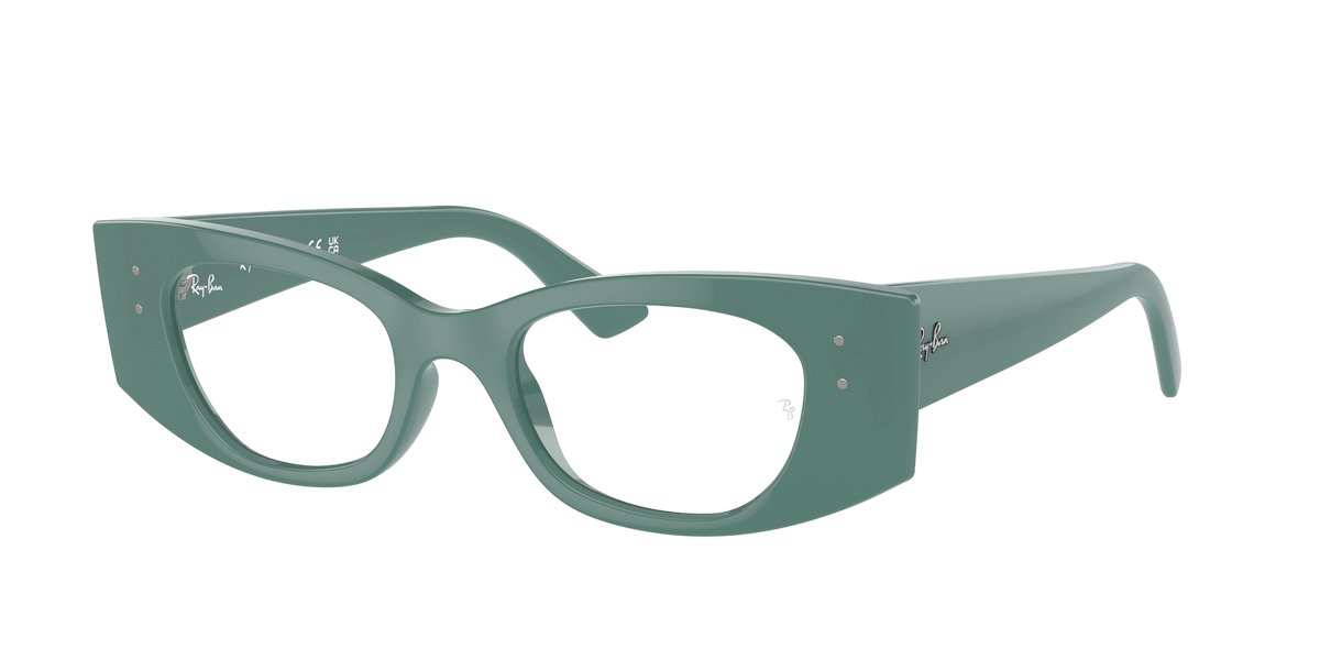 Ray-Ban Kat RX7327 Glasses frame
