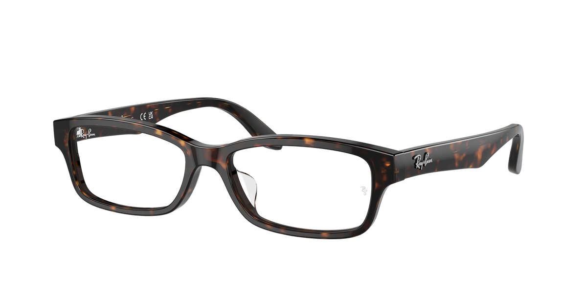 Ray-Ban RX5415D Glasses frame