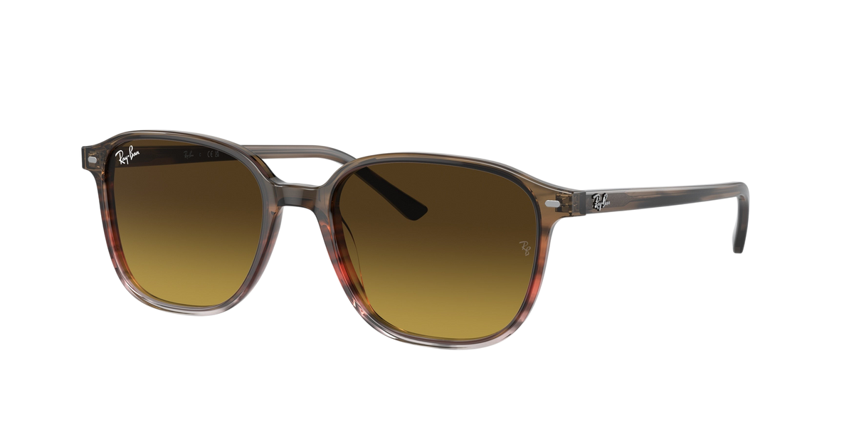 Sunglasses UK genuine Ray-Ban Leonard RB2193 sunglasses with brown gradient lenses and transparent brown frames